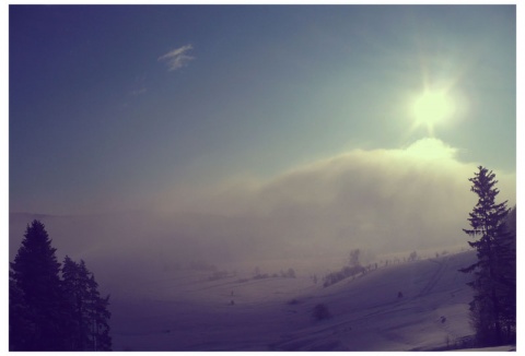 Kliknij na zdjęcie, żeby zobaczyć w pełnych wymiarach