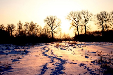 Kliknij na zdjęcie, żeby zobaczyć w pełnych wymiarach