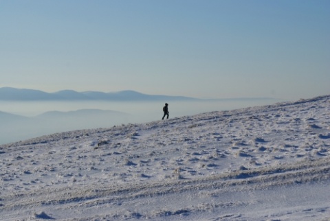 Kliknij na zdjęcie, żeby zobaczyć w pełnych wymiarach