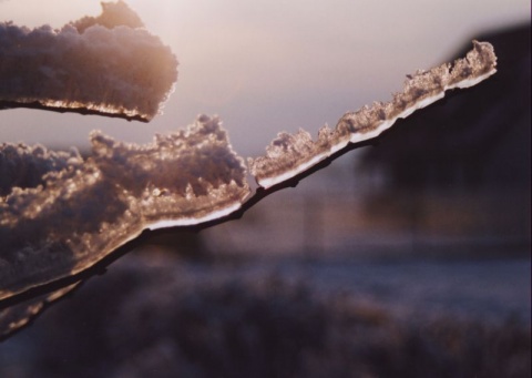 Kliknij na zdjęcie, żeby zobaczyć w pełnych wymiarach