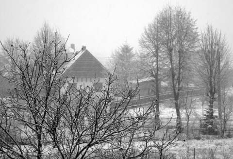 Kliknij na zdjęcie, żeby zobaczyć w pełnych wymiarach