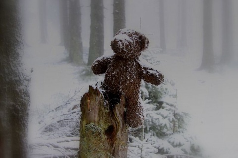 Kliknij na zdjęcie, żeby zobaczyć w pełnych wymiarach