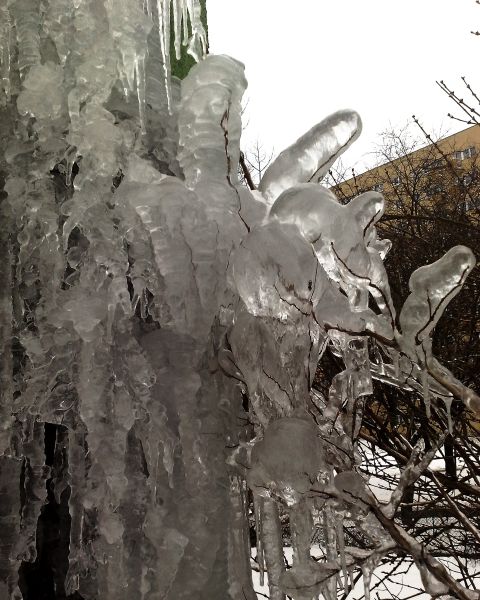 Kliknij na zdjęcie, żeby zobaczyć w pełnych wymiarach