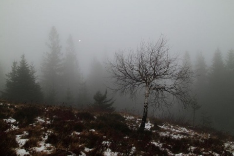 Kliknij na zdjęcie, żeby zobaczyć w pełnych wymiarach