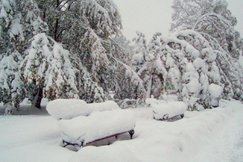 Kliknij na zdjęcie, żeby zobaczyć w pełnych wymiarach