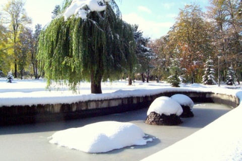 Kliknij na zdjęcie, żeby zobaczyć w pełnych wymiarach