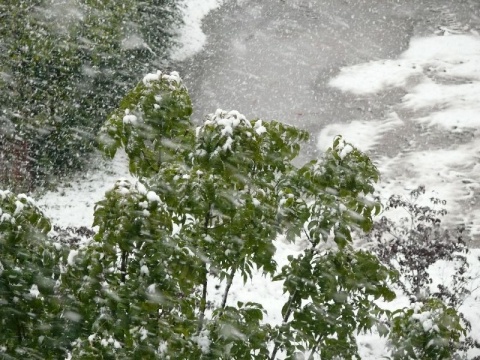 Kliknij na zdjęcie, żeby zobaczyć w pełnych wymiarach