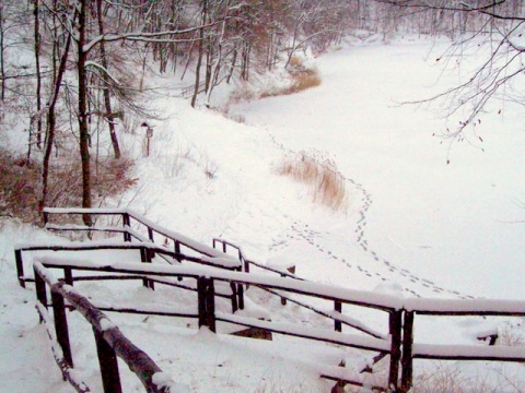 Kliknij na zdjęcie, żeby zobaczyć w pełnych wymiarach