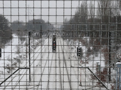 Kliknij na zdjęcie, żeby zobaczyć w pełnych wymiarach