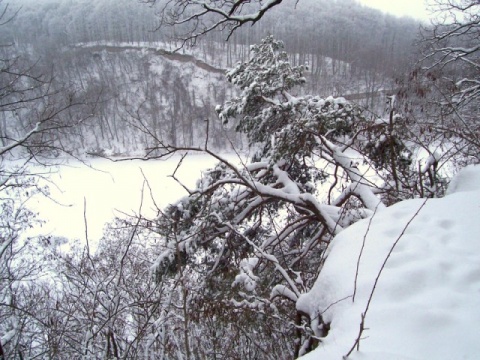 Kliknij na zdjęcie, żeby zobaczyć w pełnych wymiarach