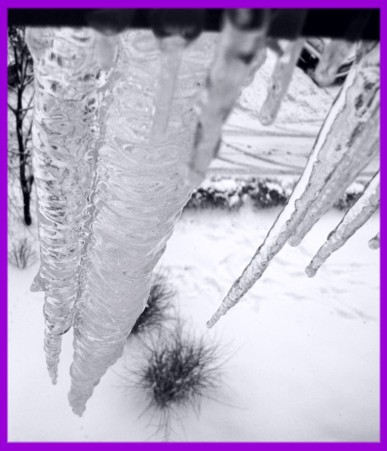 Kliknij na zdjęcie, żeby zobaczyć w pełnych wymiarach