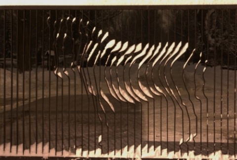 Kliknij na zdjęcie, żeby zobaczyć w pełnych wymiarach