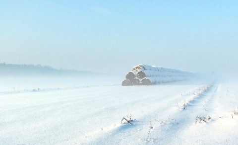Kliknij na zdjęcie, żeby zobaczyć w pełnych wymiarach