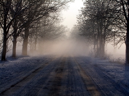 Kliknij na zdjęcie, żeby zobaczyć w pełnych wymiarach