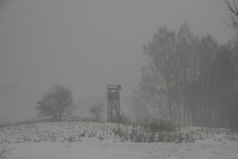 Kliknij na zdjęcie, żeby zobaczyć w pełnych wymiarach