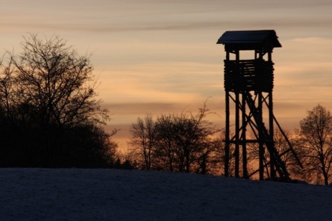 Kliknij na zdjęcie, żeby zobaczyć w pełnych wymiarach