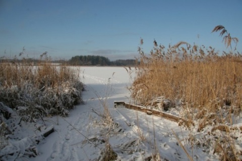 Kliknij na zdjęcie, żeby zobaczyć w pełnych wymiarach