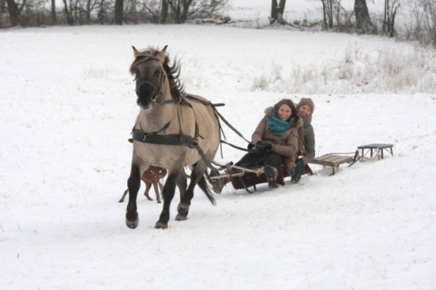 Kliknij na zdjęcie, żeby zobaczyć w pełnych wymiarach