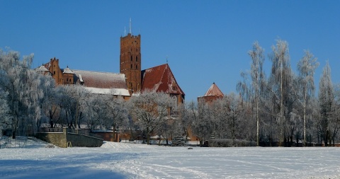 Kliknij na zdjęcie, żeby zobaczyć w pełnych wymiarach