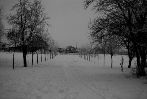 Kliknij na zdjęcie, żeby zobaczyć w pełnych wymiarach