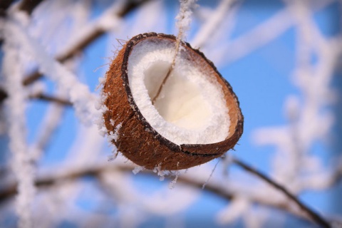 Kliknij na zdjęcie, żeby zobaczyć w pełnych wymiarach