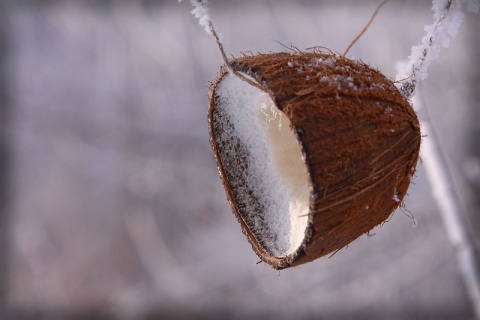 Kliknij na zdjęcie, żeby zobaczyć w pełnych wymiarach