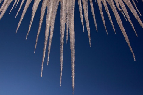 Kliknij na zdjęcie, żeby zobaczyć w pełnych wymiarach