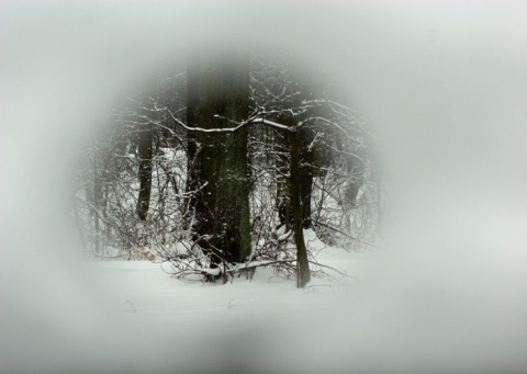 Kliknij na zdjęcie, żeby zobaczyć w pełnych wymiarach