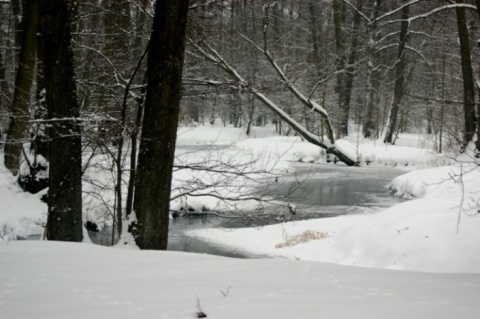 Kliknij na zdjęcie, żeby zobaczyć w pełnych wymiarach