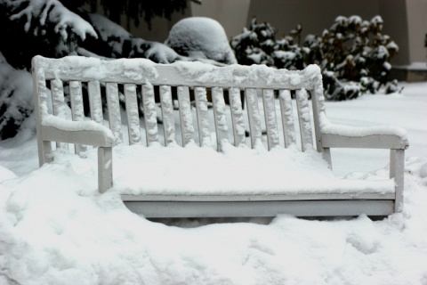 Kliknij na zdjęcie, żeby zobaczyć w pełnych wymiarach