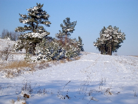 Kliknij na zdjęcie, żeby zobaczyć w pełnych wymiarach