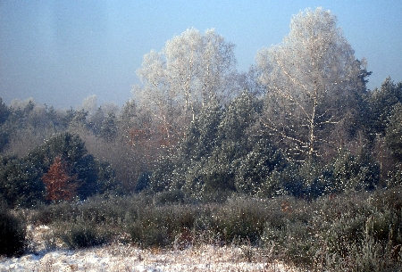 Kliknij na zdjęcie, żeby zobaczyć w pełnych wymiarach
