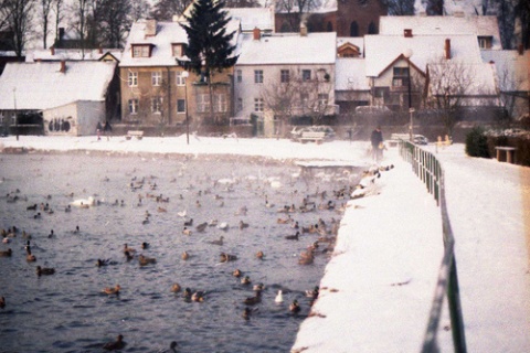 Kliknij na zdjęcie, żeby zobaczyć w pełnych wymiarach