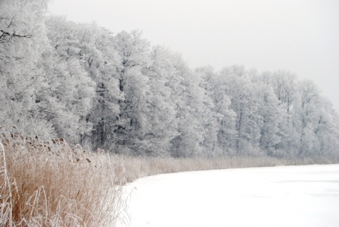 Kliknij na zdjęcie, żeby zobaczyć w pełnych wymiarach