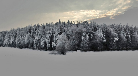 Kliknij na zdjęcie, żeby zobaczyć w pełnych wymiarach