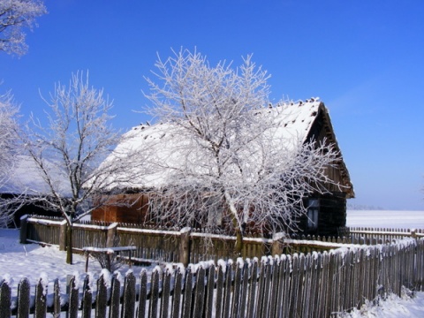 Kliknij na zdjęcie, żeby zobaczyć w pełnych wymiarach