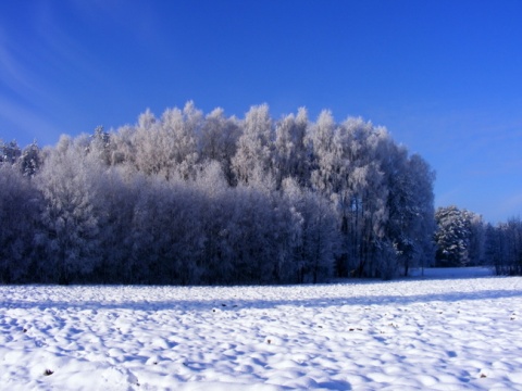 Kliknij na zdjęcie, żeby zobaczyć w pełnych wymiarach
