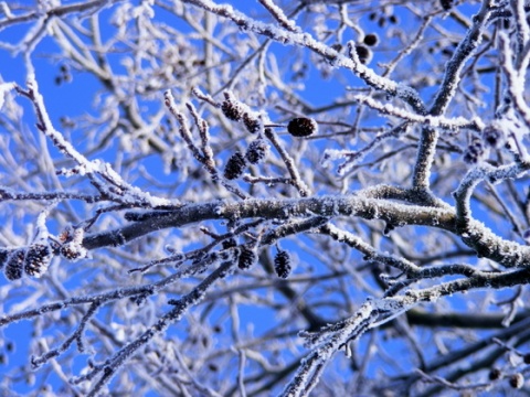 Kliknij na zdjęcie, żeby zobaczyć w pełnych wymiarach