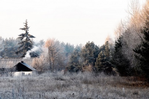 Kliknij na zdjęcie, żeby zobaczyć w pełnych wymiarach