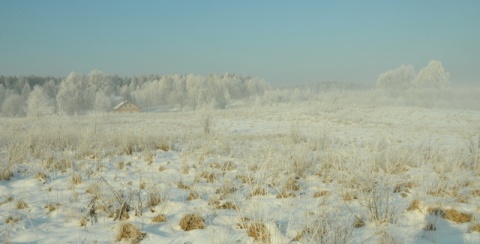 Kliknij na zdjęcie, żeby zobaczyć w pełnych wymiarach