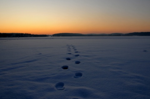 Kliknij na zdjęcie, żeby zobaczyć w pełnych wymiarach