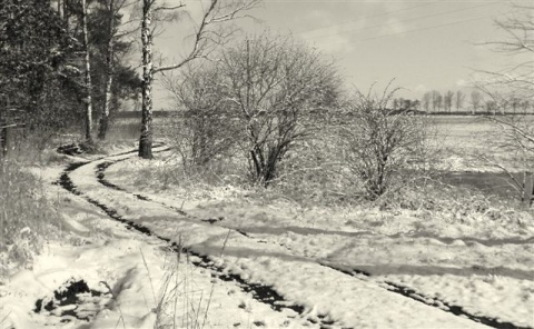 Kliknij na zdjęcie, żeby zobaczyć w pełnych wymiarach