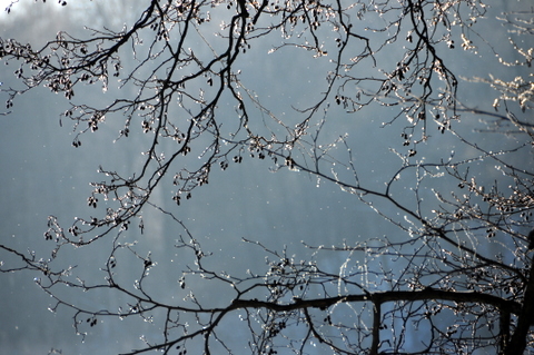 Kliknij na zdjęcie, żeby zobaczyć w pełnych wymiarach