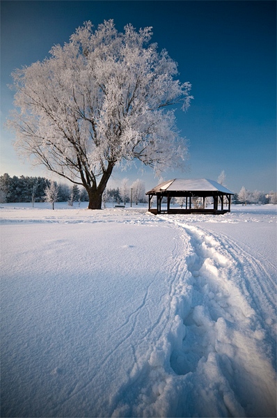 Kliknij na zdjęcie, żeby zobaczyć w pełnych wymiarach