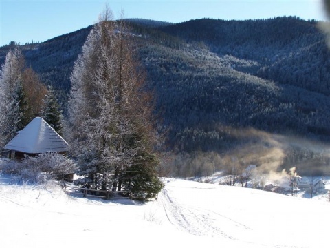 Kliknij na zdjęcie, żeby zobaczyć w pełnych wymiarach