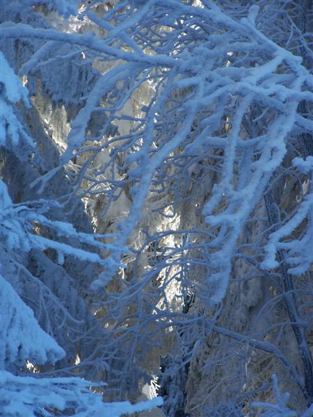 Kliknij na zdjęcie, żeby zobaczyć w pełnych wymiarach