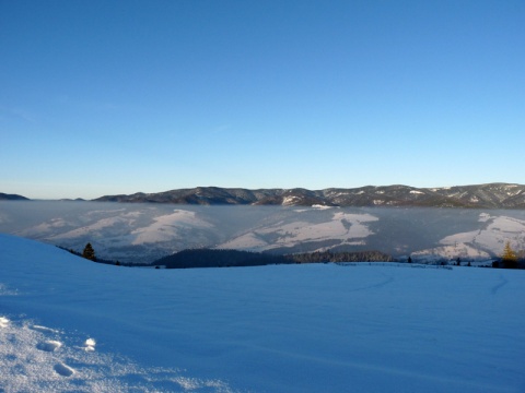 Kliknij na zdjęcie, żeby zobaczyć w pełnych wymiarach