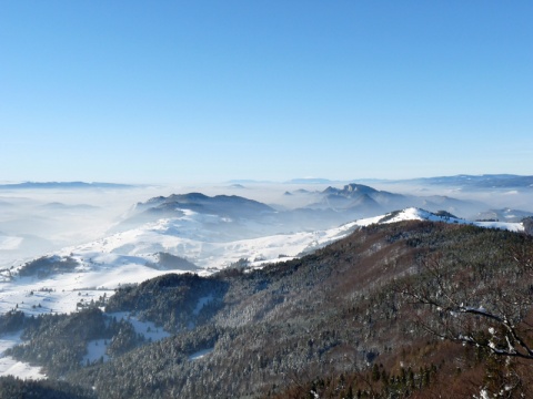 Kliknij na zdjęcie, żeby zobaczyć w pełnych wymiarach