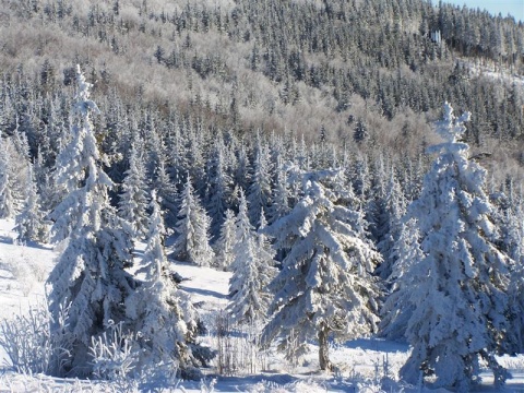 Kliknij na zdjęcie, żeby zobaczyć w pełnych wymiarach