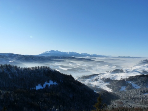 Kliknij na zdjęcie, żeby zobaczyć w pełnych wymiarach